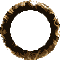 invisring.gif (820 bytes)